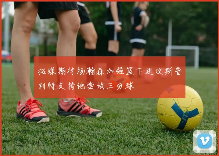 拓媒期待杨瀚森加强篮下进攻斯普利特支持他尝试三分球