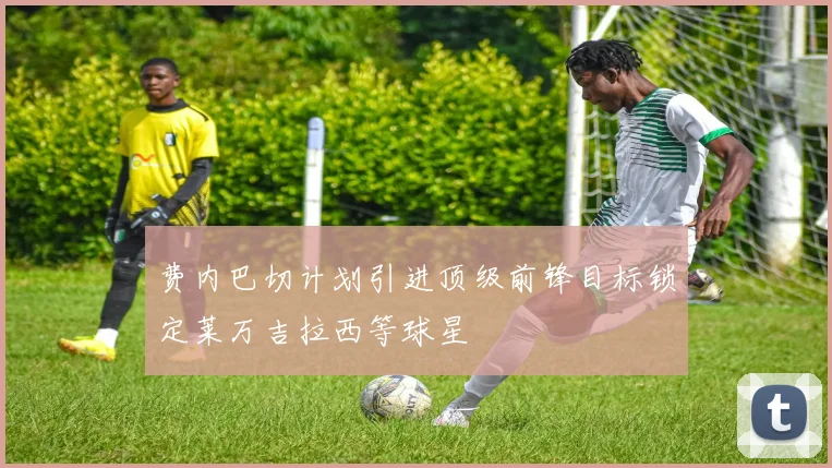 费内巴切计划引进顶级前锋目标锁定莱万吉拉西等球星