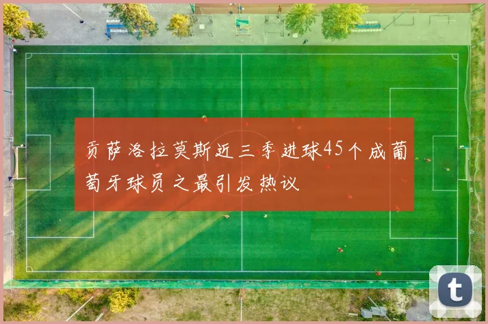 贡萨洛拉莫斯近三季进球45个成葡萄牙球员之最引发热议