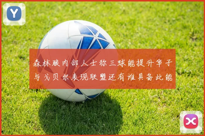 森林狼内部人士称三球能提升华子与戈贝尔表现联盟还有谁具备此能力
