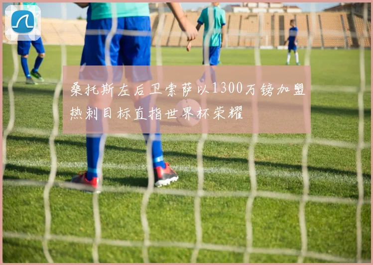 桑托斯左后卫索萨以1300万镑加盟热刺目标直指世界杯荣耀