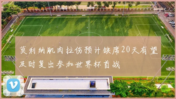 莫利纳肌肉拉伤预计缺席20天有望及时复出参加世界杯首战